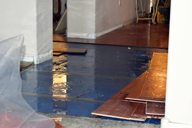 Professional Flood Damage Repair technician working in Hamilton, GA